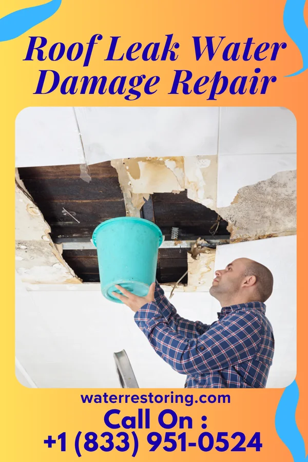 Roof Leak Water Damage Repair in Milton, GA
